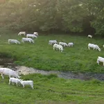 Betzemühle 1 Bauernhof