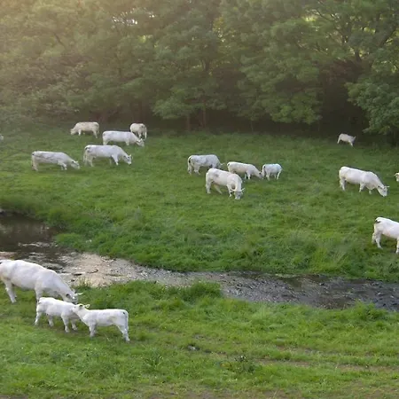 Betzemuehle 1 Bauernhof