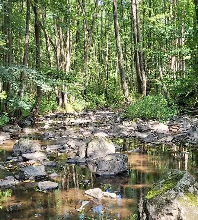 Betzemuehle 1 Bauernhof * Altenschlirf