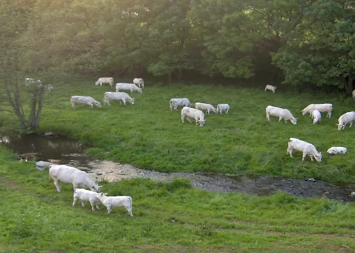 Betzemuehle 1 Bauernhof