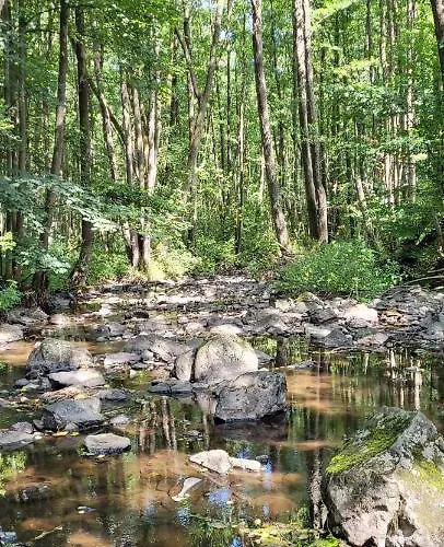 Betzemuehle 1 Bauernhof * Altenschlirf